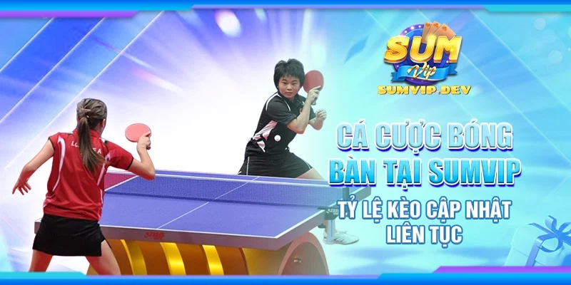 Cá cược bóng bàn tại Sumvip - Tỷ lệ kèo cập nhật liên tục