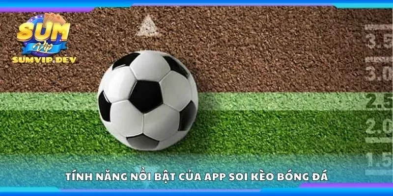 Khám phá tính năng nổi bật của app soi kèo bóng đá 