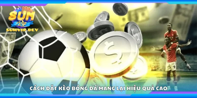 Chiến lược đặt kèo bóng đá hiệu quả cho tân thủ