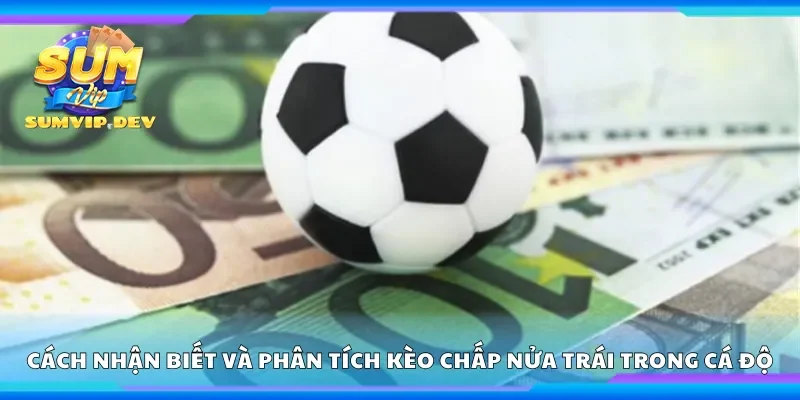 Cách nhận biết và phân tích kèo chấp nửa trái trong cá độ