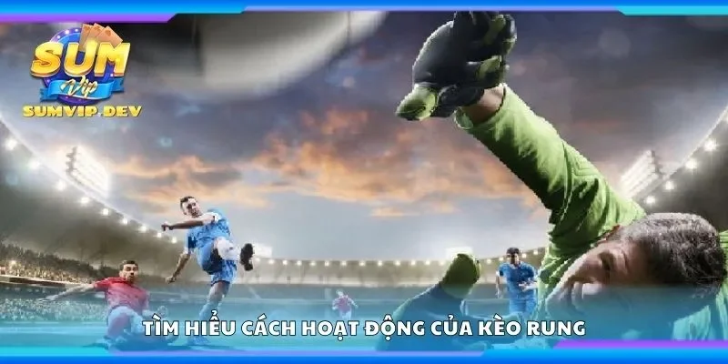 Tìm hiểu cách hoạt động của kèo rung
