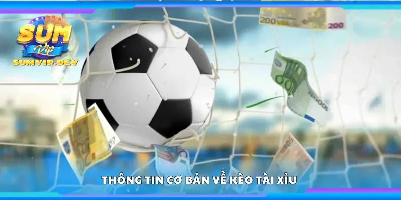 Thông tin cơ bản về kèo tài xỉu 