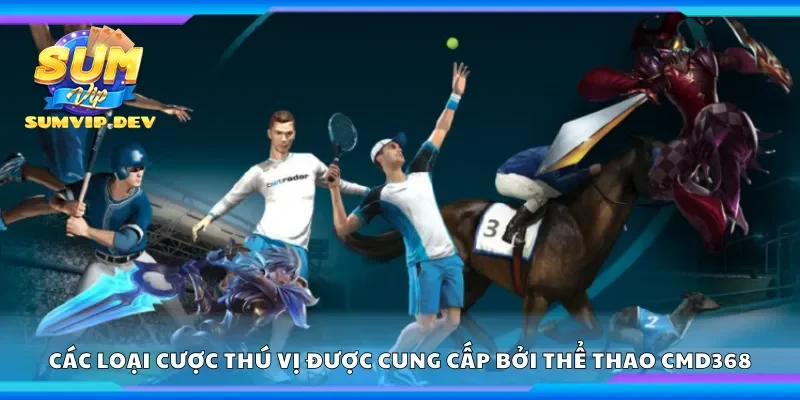 Các loại cược thú vị được cung cấp bởi thể thao CMD368