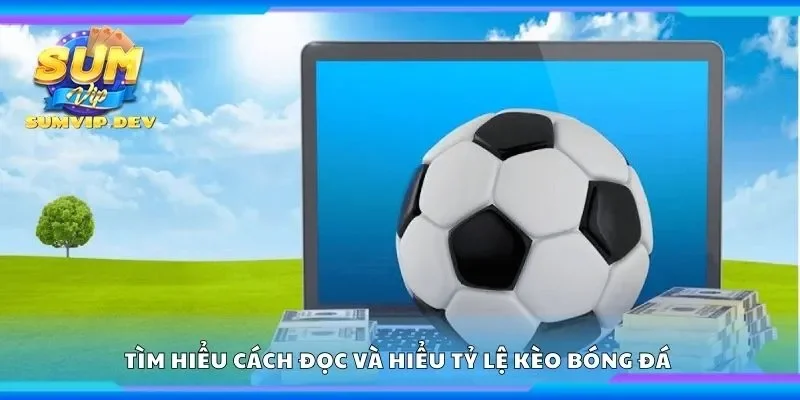 Tìm hiểu cách đọc và hiểu tỷ lệ kèo bóng đá 